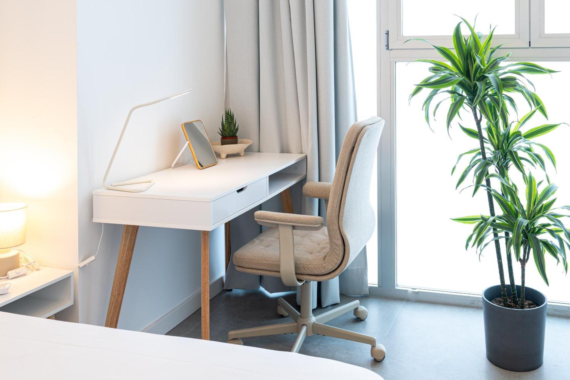 Main Lofts Valencia Apartment Ngoại thất bức ảnh