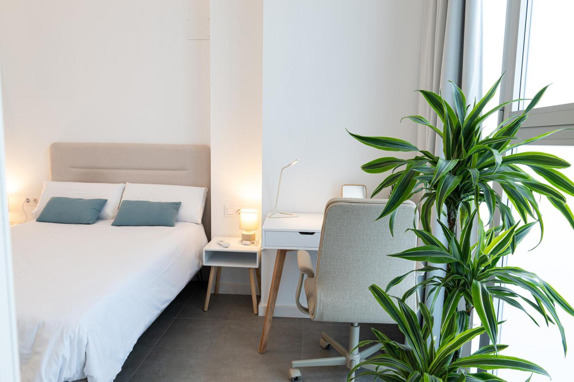 Main Lofts Valencia Apartment Ngoại thất bức ảnh